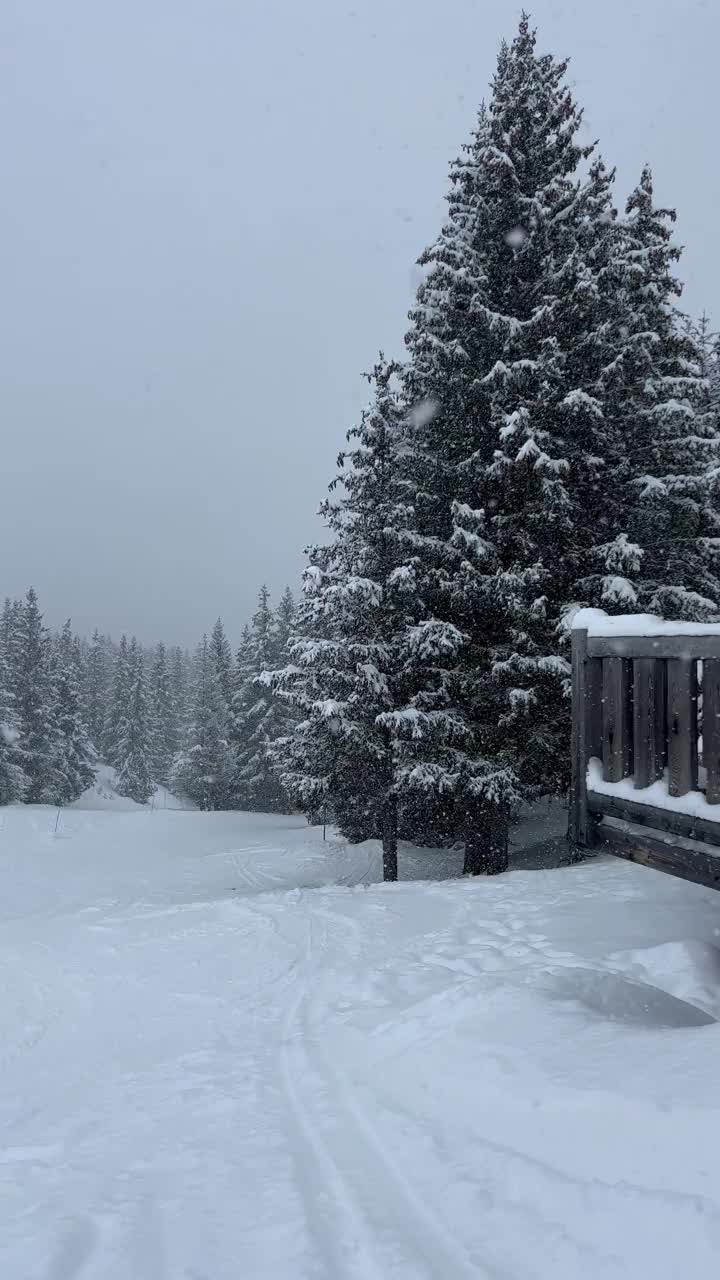 法国阿尔卑斯山的雪景视频素材