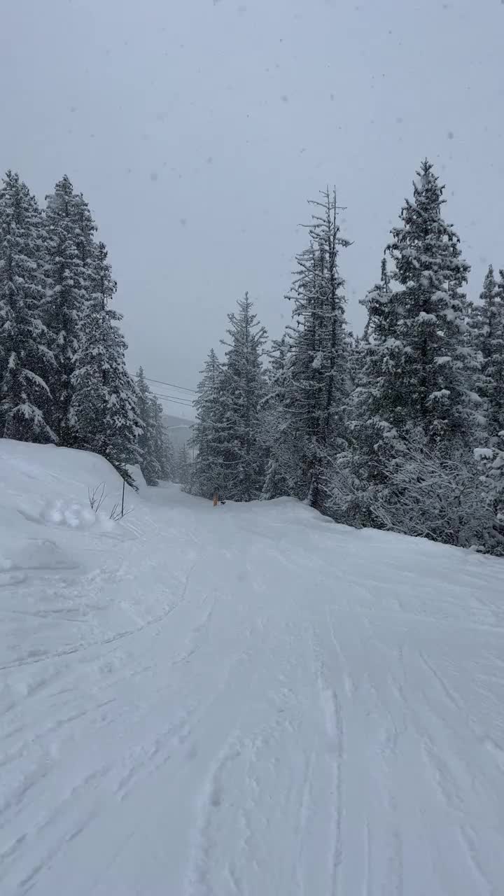 雪天在法国阿尔卑斯山的斜坡上滑雪。视频素材