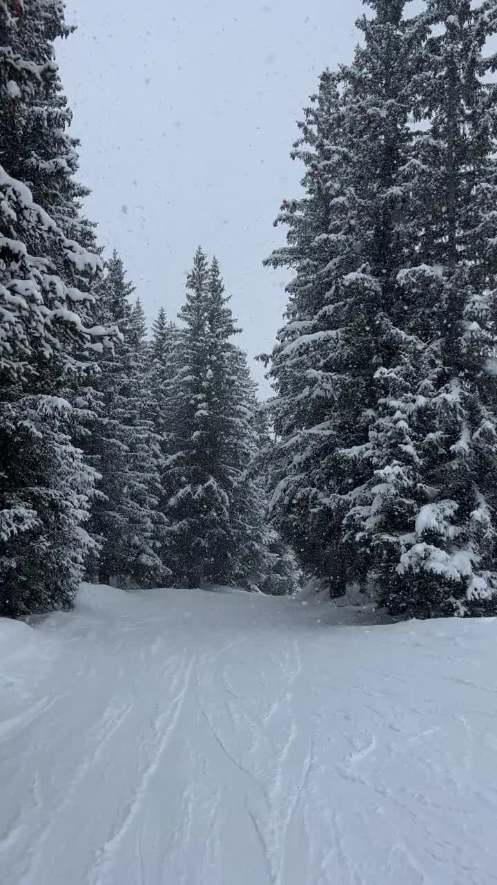 雪天在法国阿尔卑斯山的斜坡上滑雪。视频素材