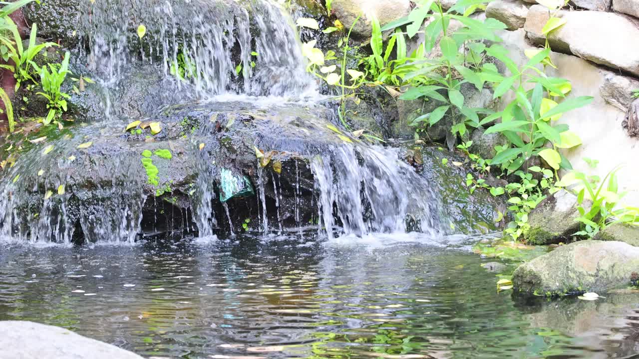 宁静花园瀑布级视频素材