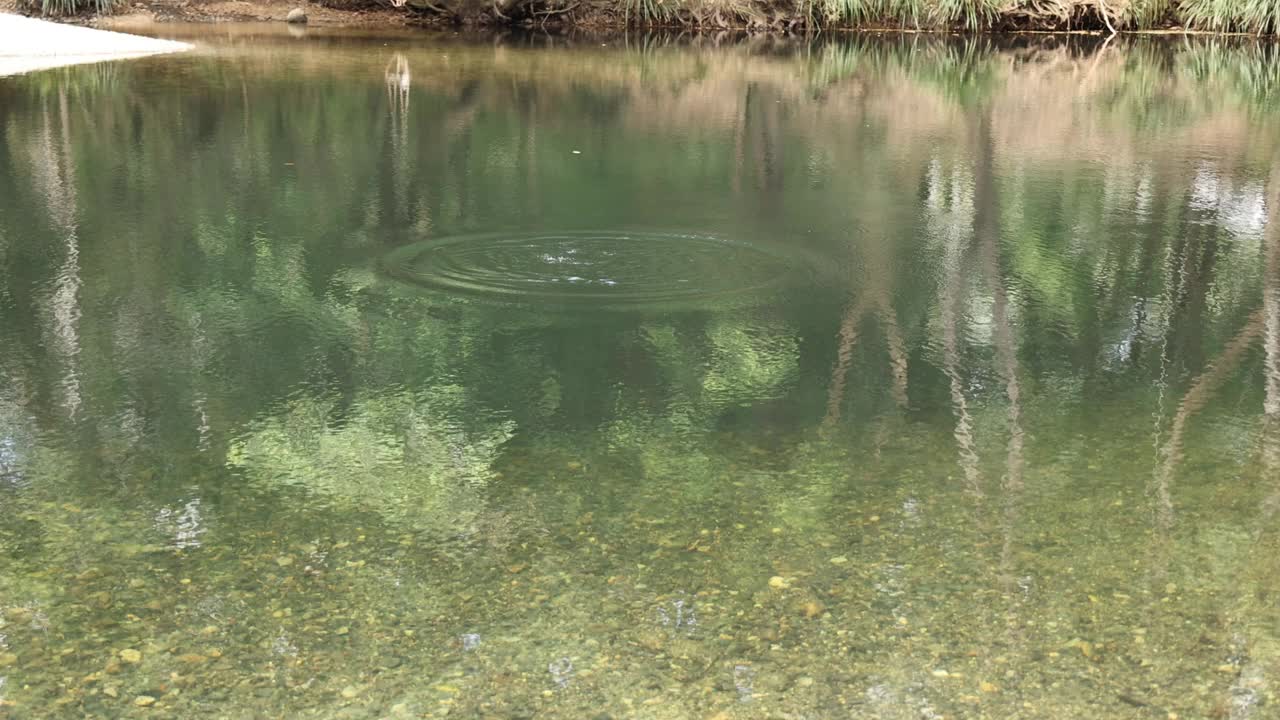 宁静的池塘泛起涟漪视频素材