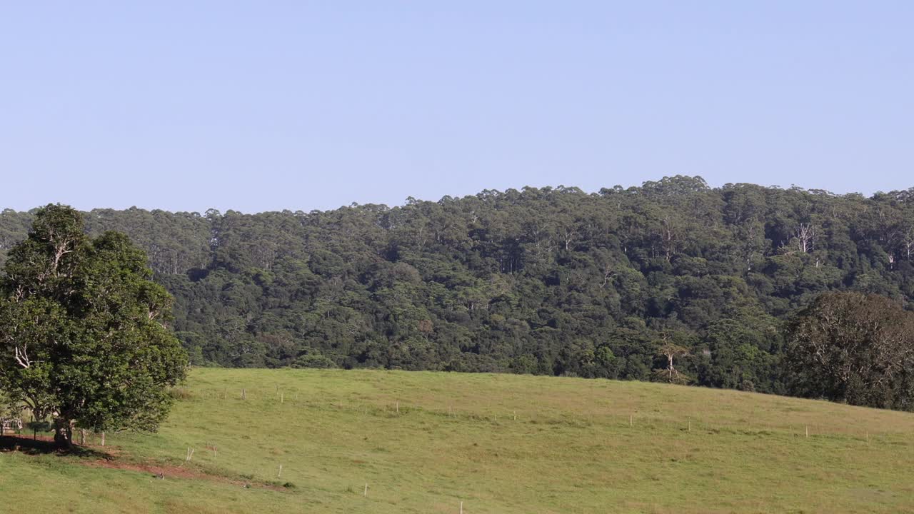 穿越时空的宁静风景视频素材