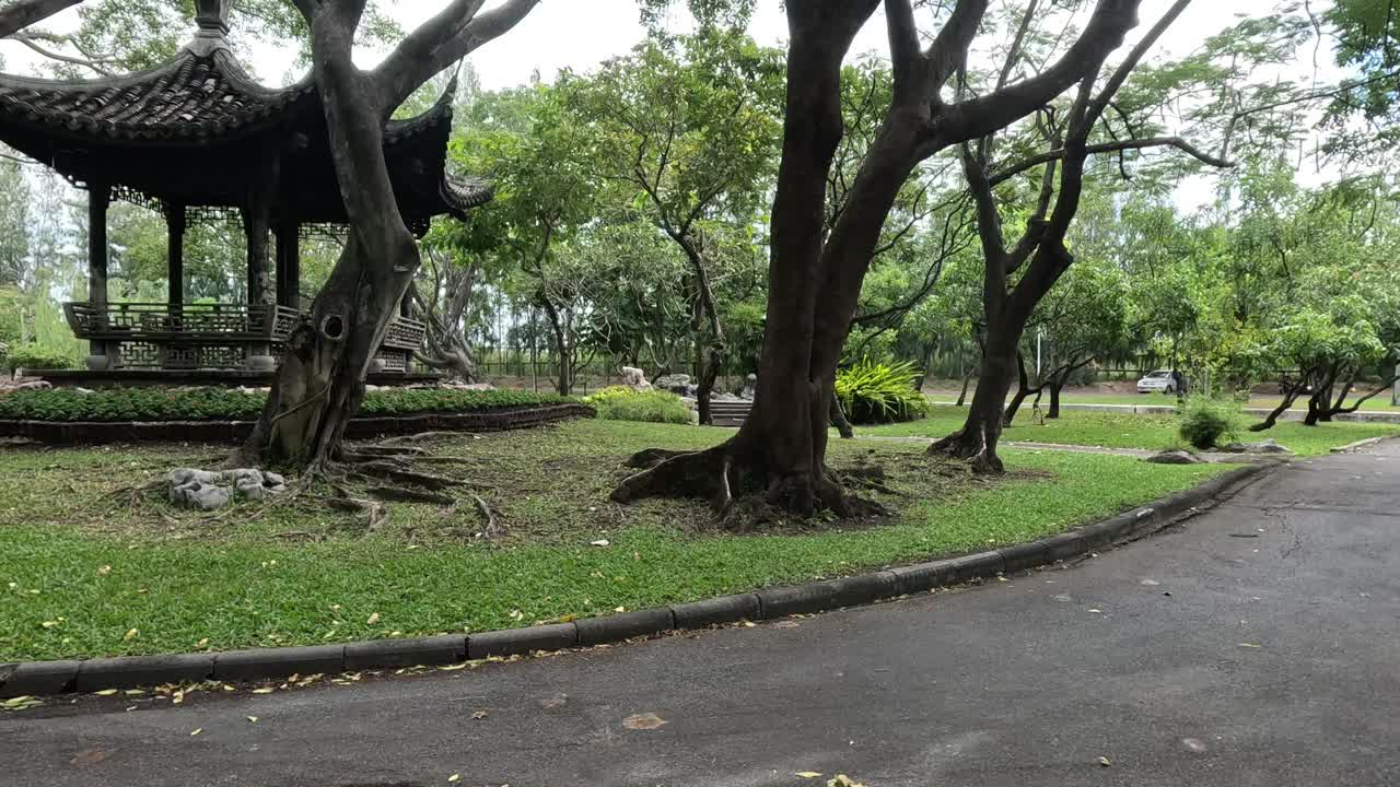 宁静的亚洲花园漫步视频素材