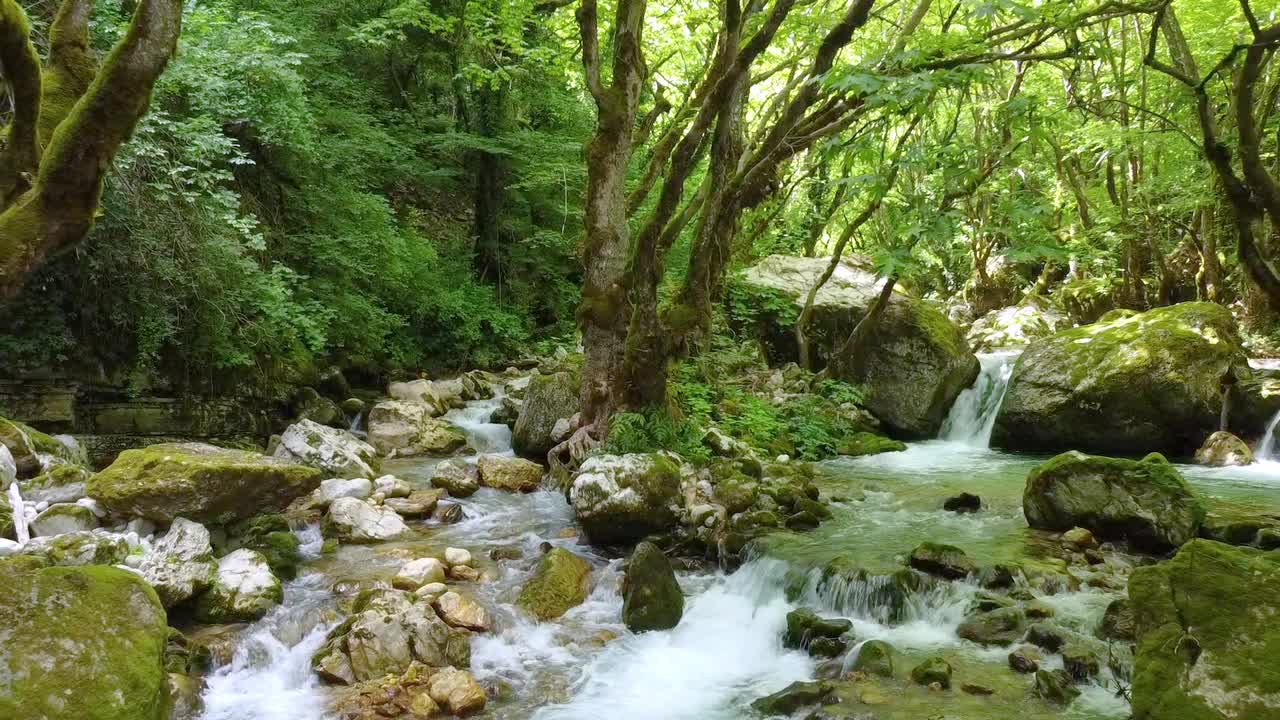 河流蜿蜒穿过绿色的森林树木和郁郁葱葱的绿色植物，在伊庇鲁斯的库亚萨瀑布创造了一个迷人的美丽场景。视频素材