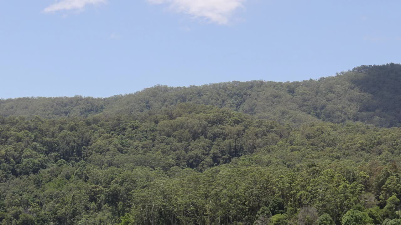 风景秀丽的森林山脉视频素材