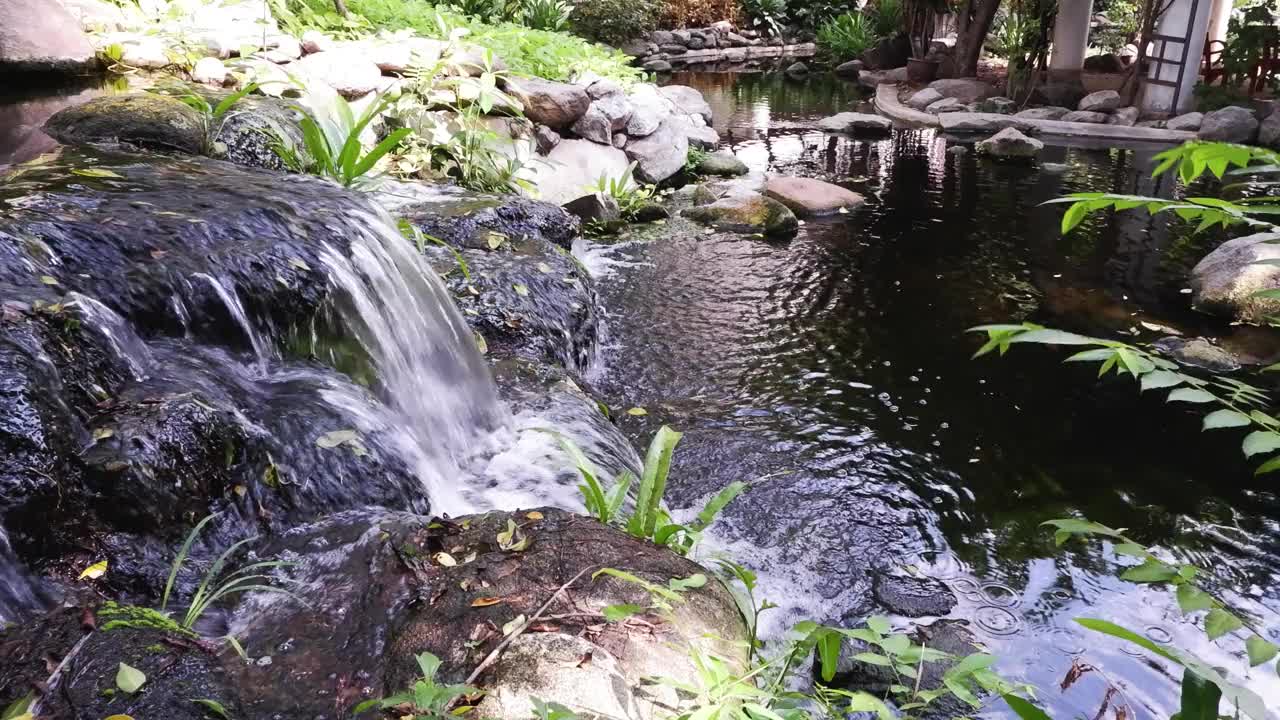 宁静花园中的宁静瀑布视频素材