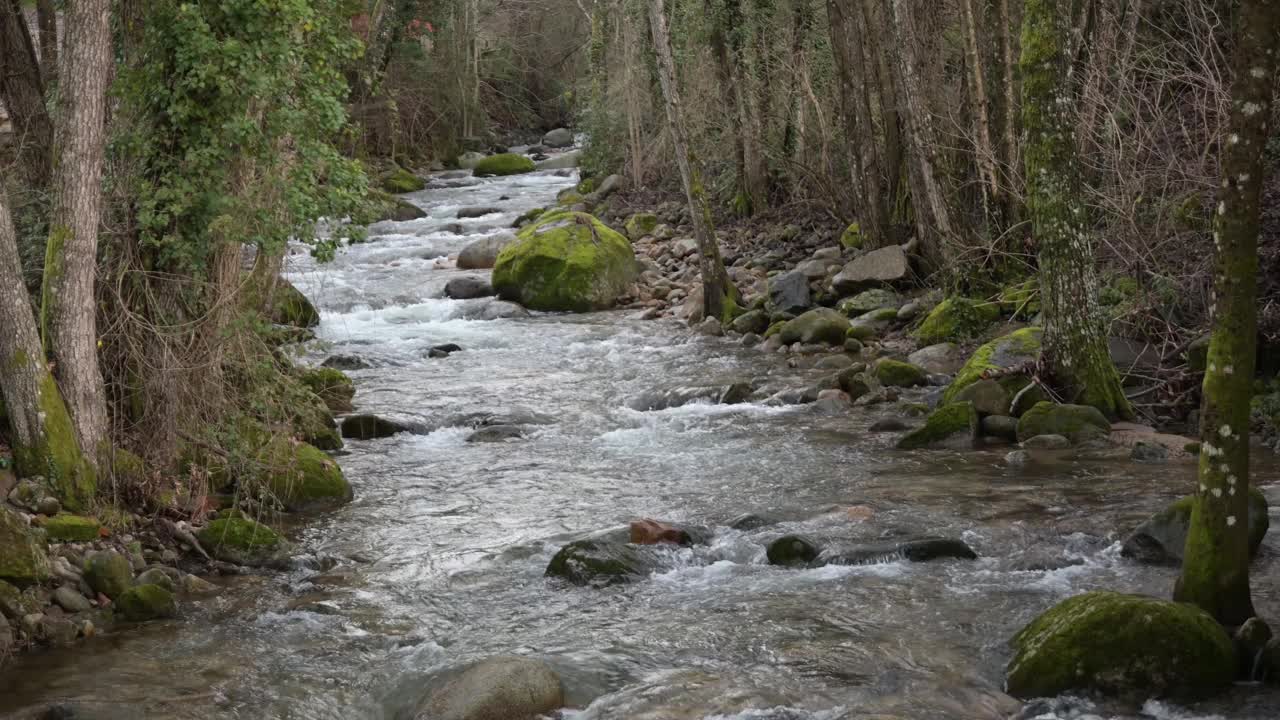 Ambroz山的河流在水平的树木画廊中快速流过视频下载