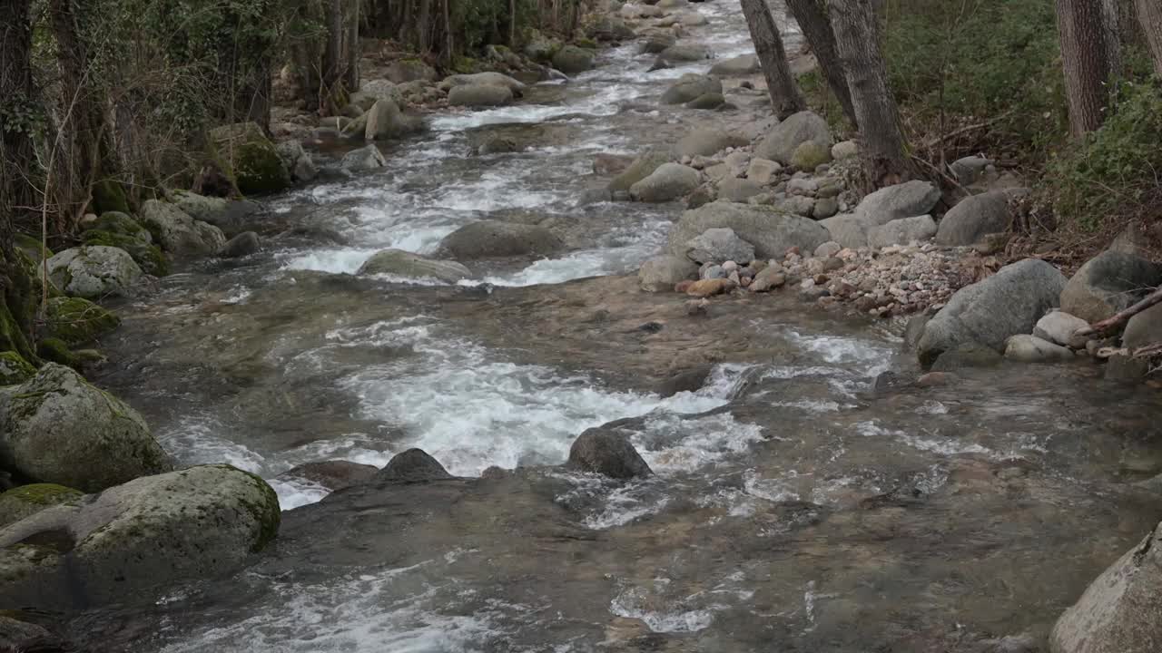 安布罗兹山的河水湍急地流过树林视频下载