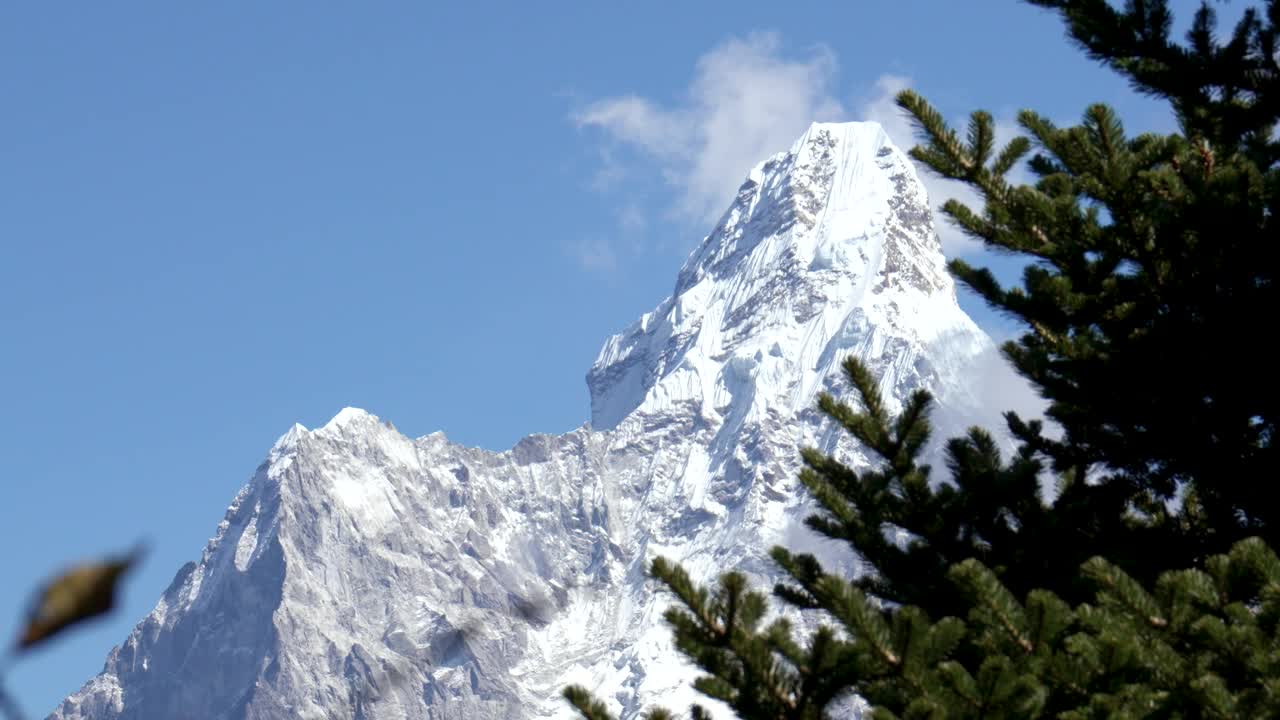 喜马拉雅山脉的阿玛达布拉姆山被雪覆盖，周围是针叶树视频素材