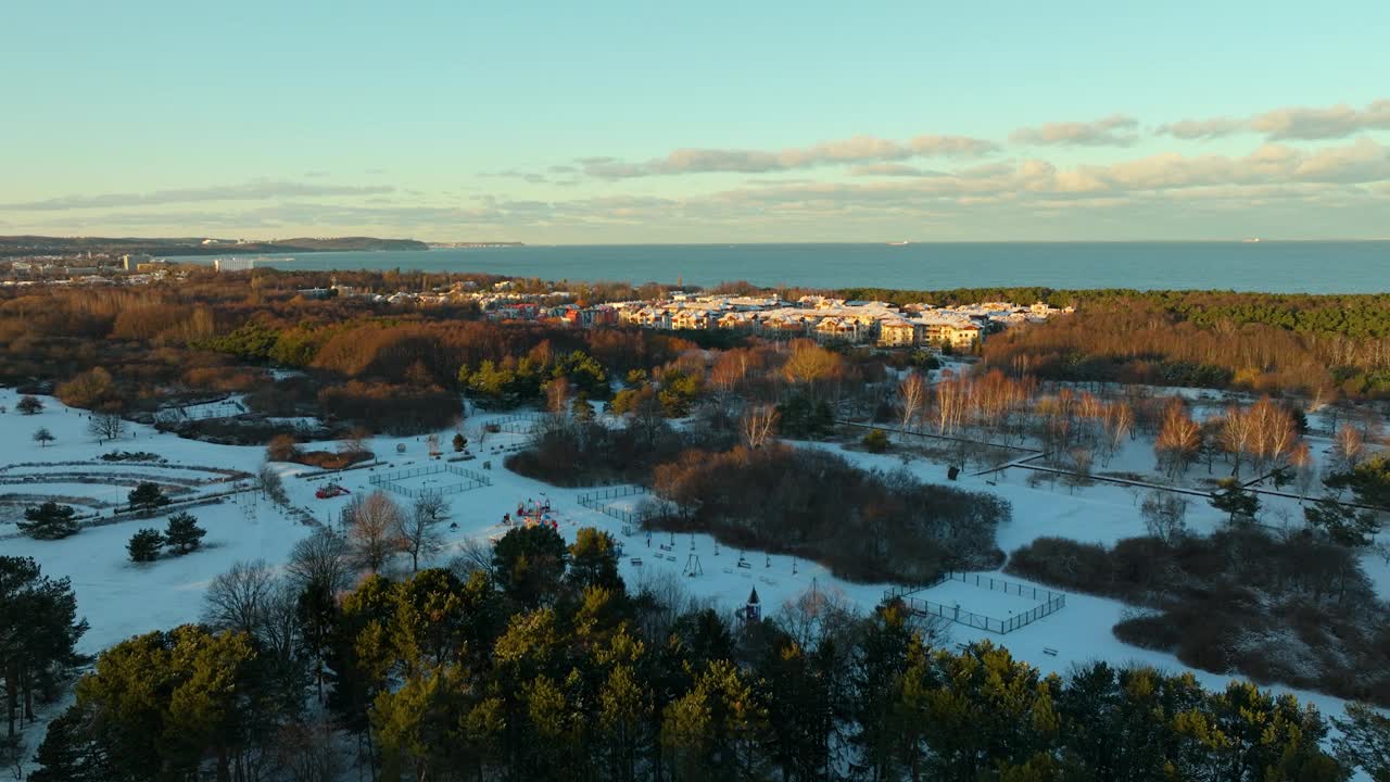 格但斯克市普兹莫兹区冬季景观中彩色树木的航拍近景——波罗的海和日落时的地平线为背景视频素材