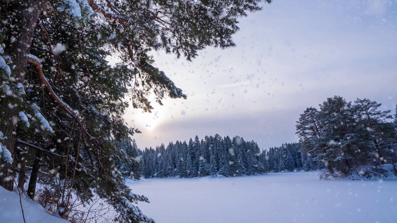 冬季景观与美丽的降雪，电影，冬季太阳，视频循环视频素材