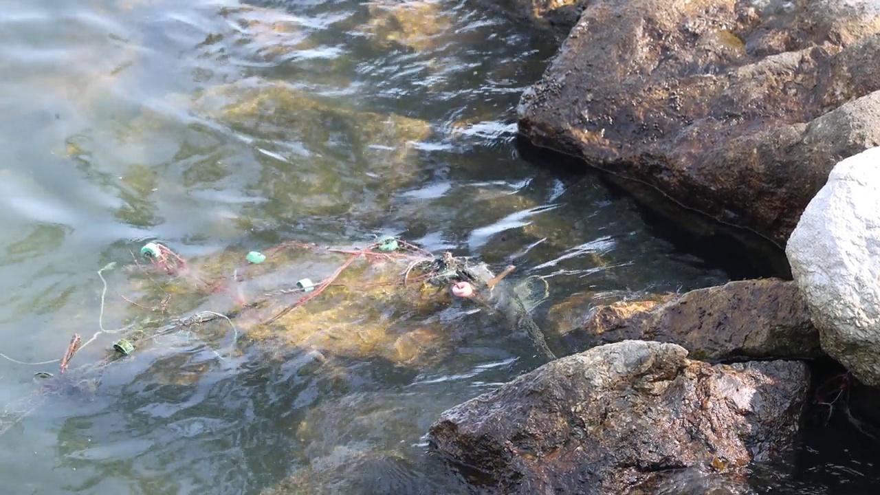 岩石岸边潺潺的水视频素材