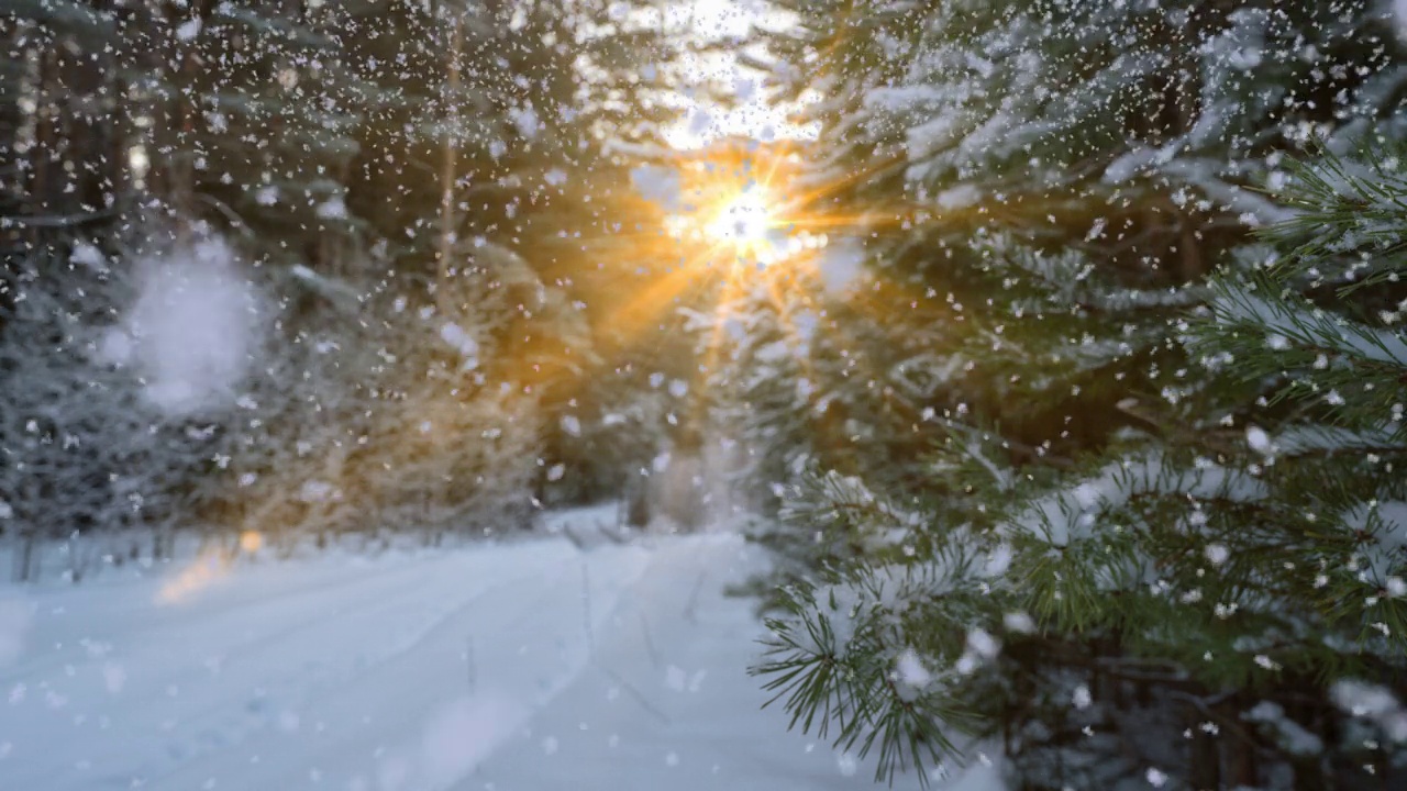 冬季景观与美丽的降雪，电影，冬季太阳，视频循环视频素材