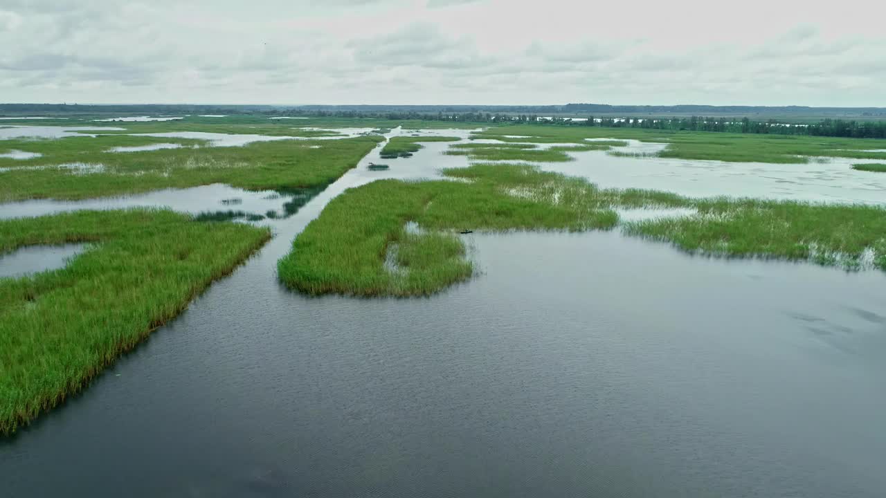 宁静的湿地，郁郁葱葱的绿色植物和蜿蜒的水道，鸟瞰视频素材