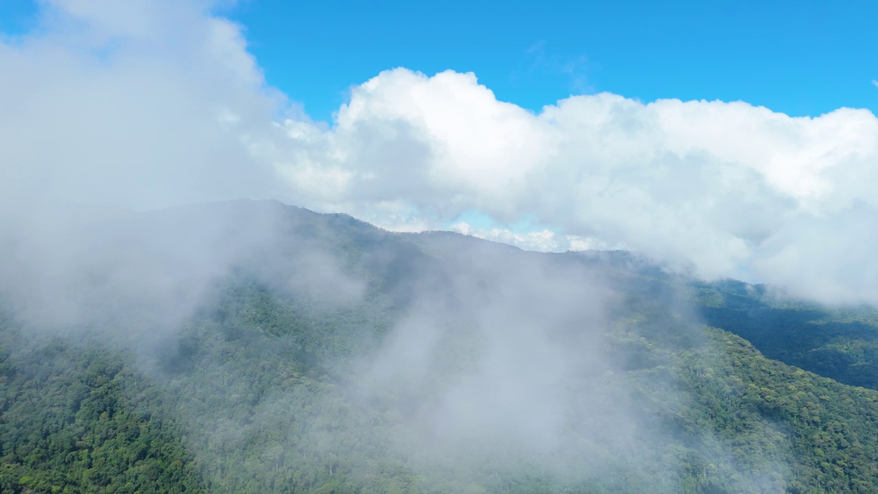 望向窗外，穿越云层，美丽的森林山和蓝天，森林保护区常绿森林，令人惊叹的蓬松云景视频素材