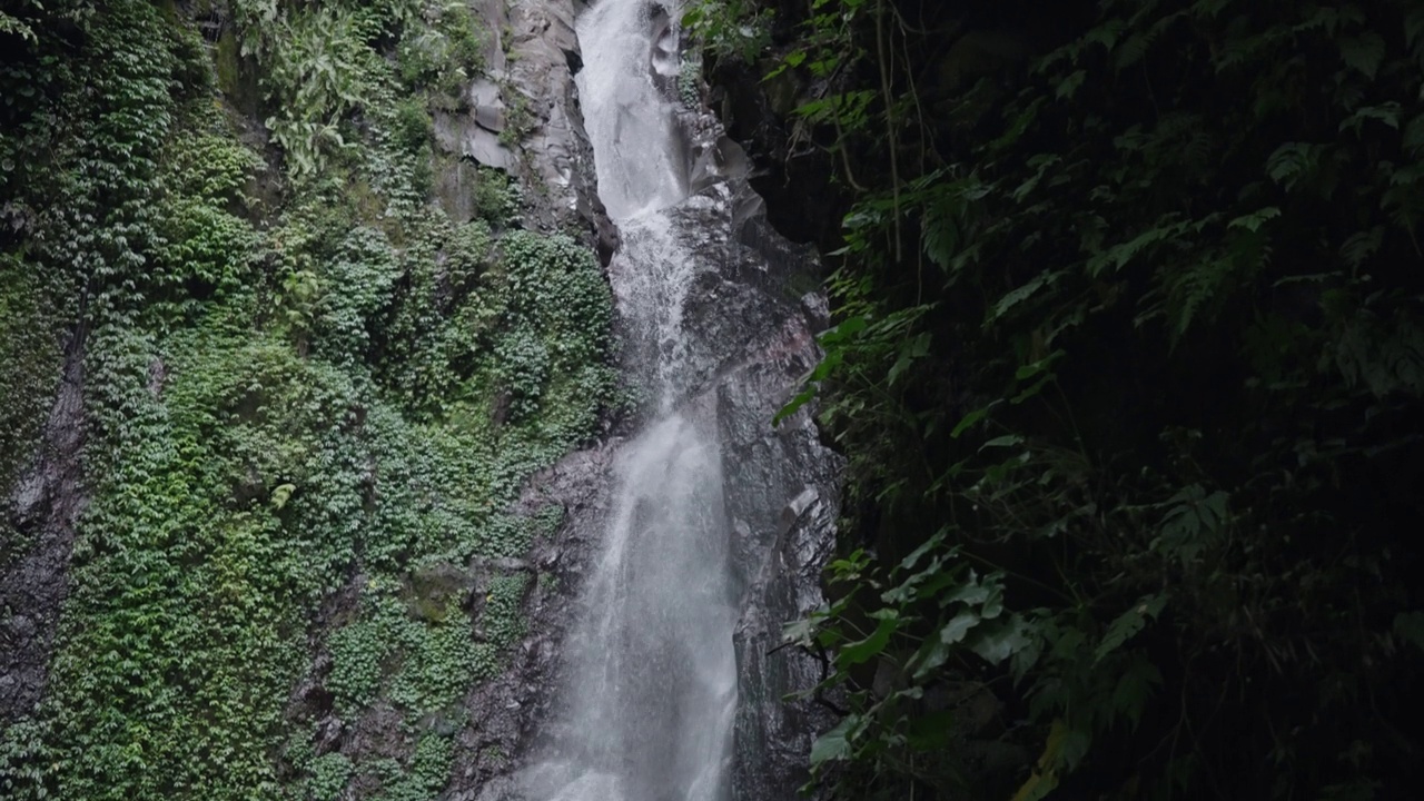 瀑布(Yeh Mempeh或飞瀑)在Tejakula村，Buleleng，巴厘岛-隐蔽的瀑布被雨林包围，悬崖上长满了绿色的热带植物视频素材