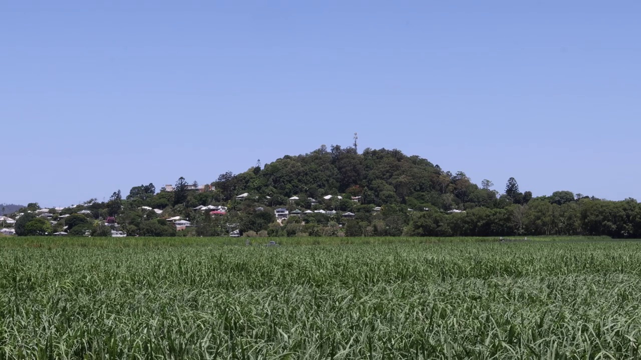 风景秀丽的小山俯瞰郁郁葱葱的田野视频素材