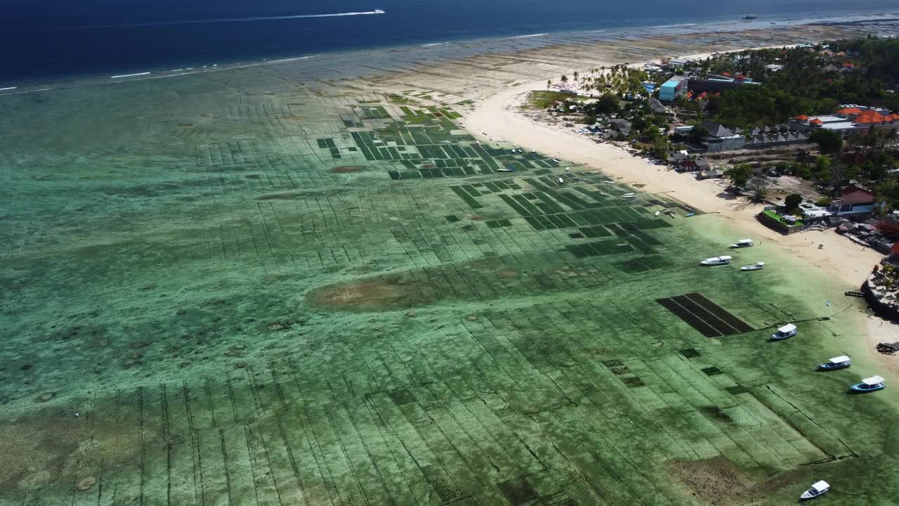 沿着Nusa Lembongan海滩一排排的海藻农场，航拍全景视频素材