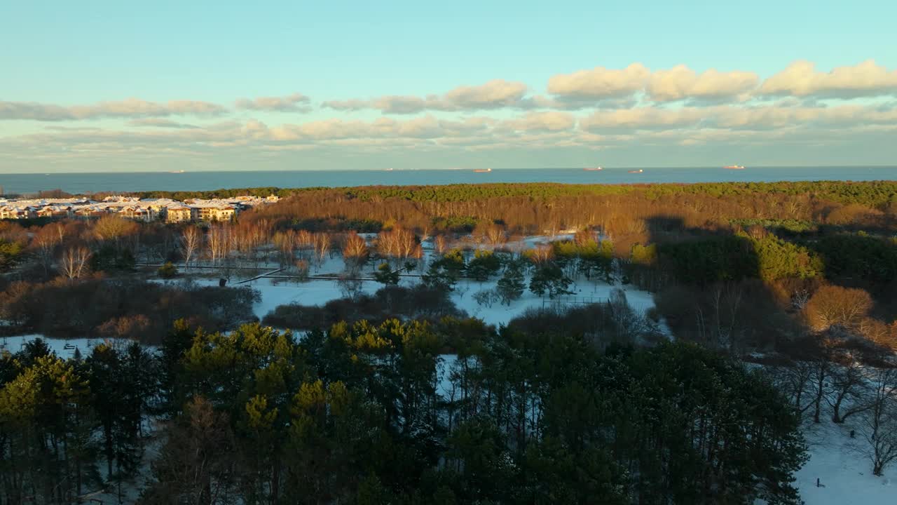 上升无人机拍摄的森林景观与雪和格但斯克地区为背景，在日出-蓝色的波罗的海为背景视频素材