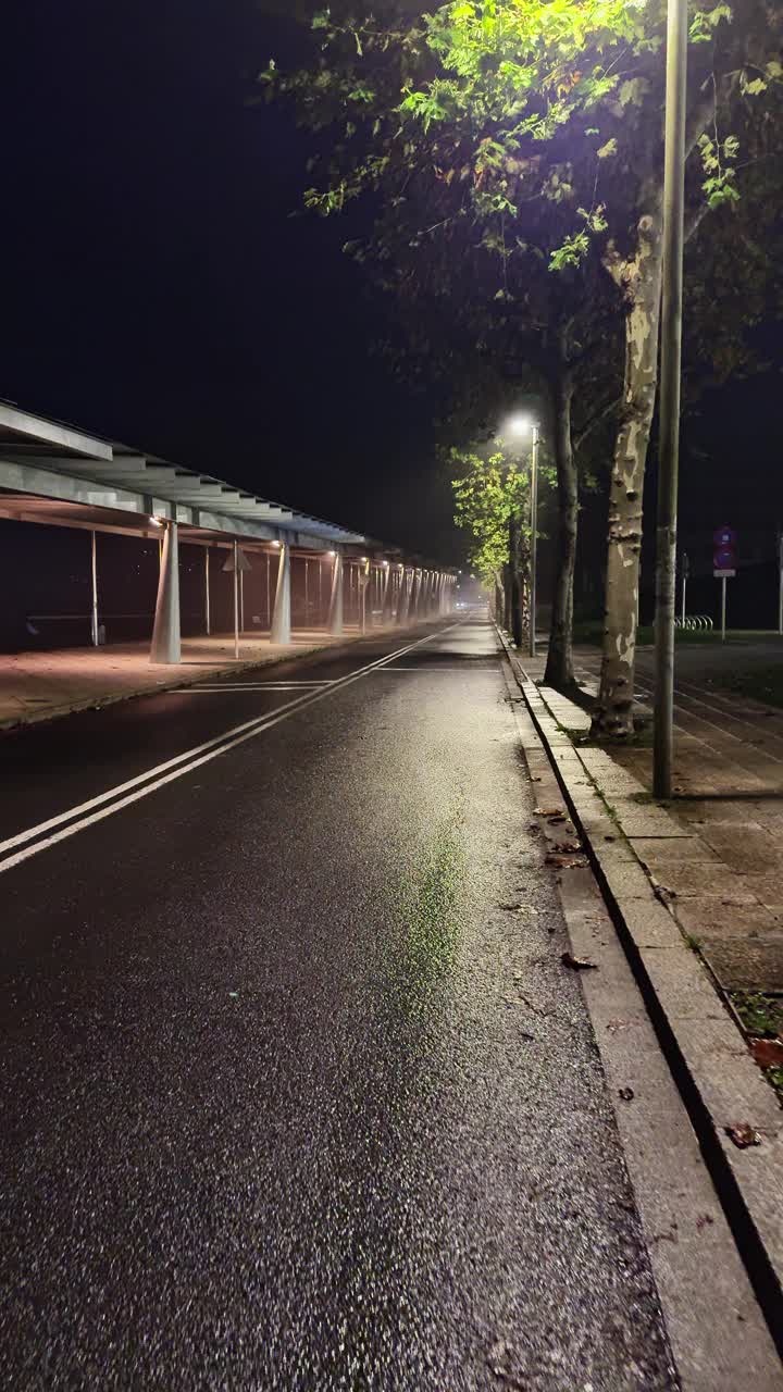 夜间城市漫步:灯火通明的小路和寂静的街道视频素材