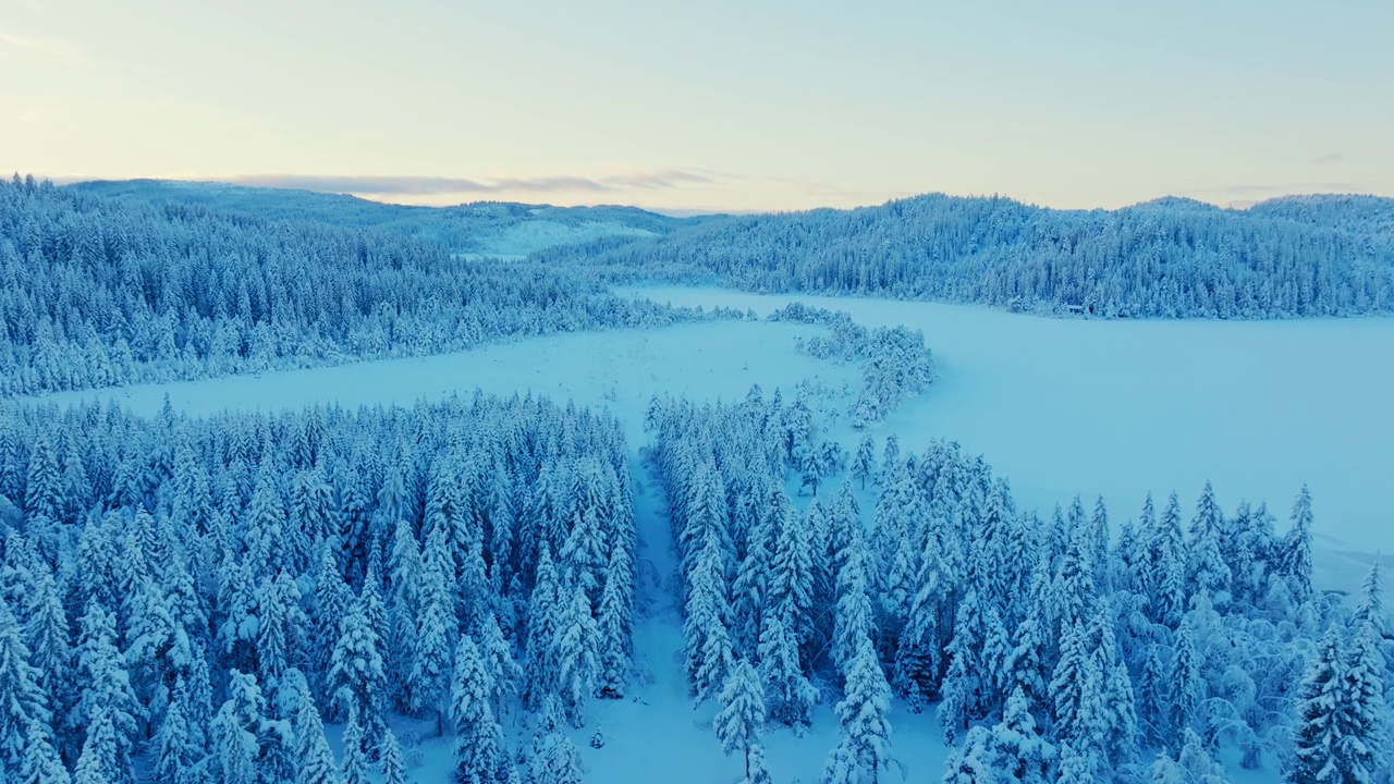 乡村景观与冰冻的湖泊和冰雪覆盖的树木在冬天-空中无人机拍摄视频素材