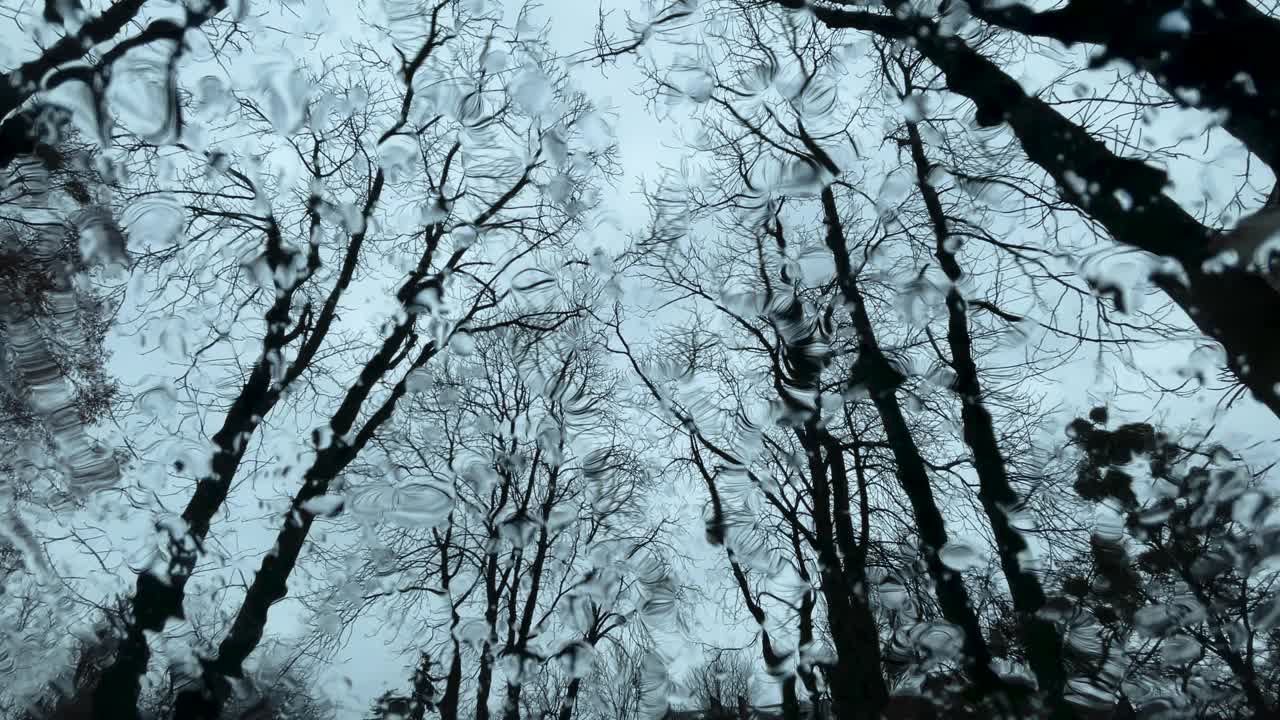 冬天的雨林，雨滴落在玻璃上，背景美丽，雨滴顺着玻璃流下，水滴有质感视频素材