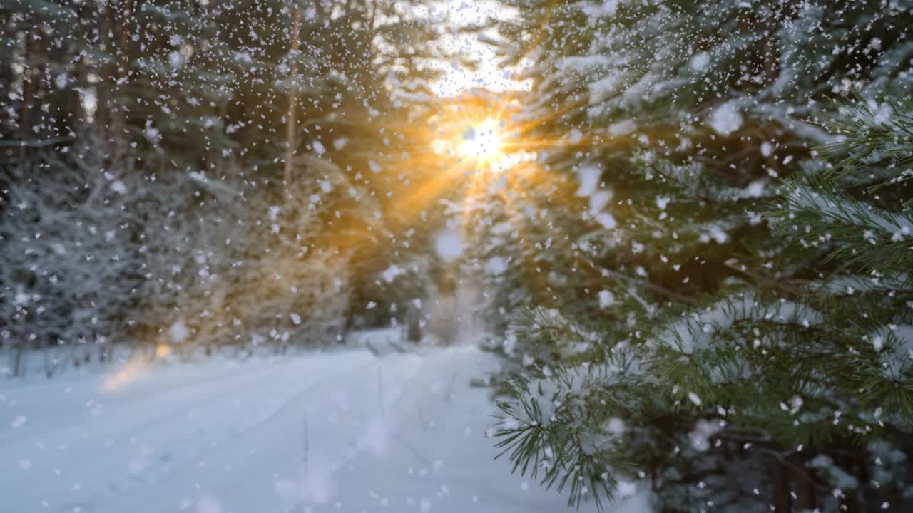 冬季景观与美丽的降雪，电影，冬季太阳，视频循环视频素材