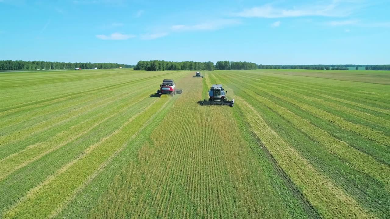 在田间收割作物的联合收割机空中作业。收集的季节视频素材画面1
