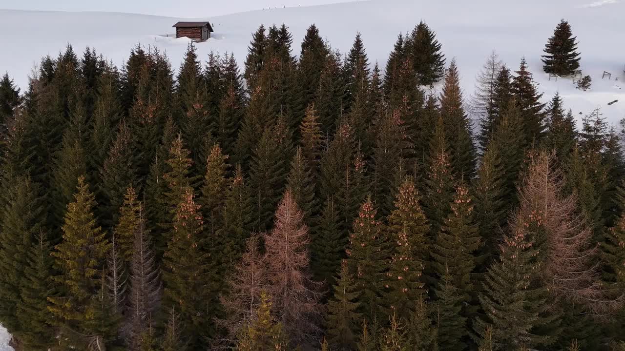 鸟瞰图，白雪覆盖的景观，孤立的树木和黄昏时的高山小屋视频素材