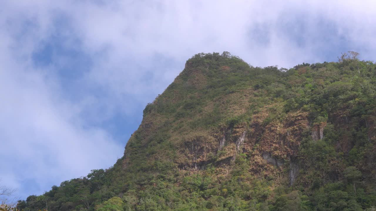 在晴朗的蓝天下，郁郁葱葱的绿色山峰，在圣卡洛斯的前景中有树叶视频素材