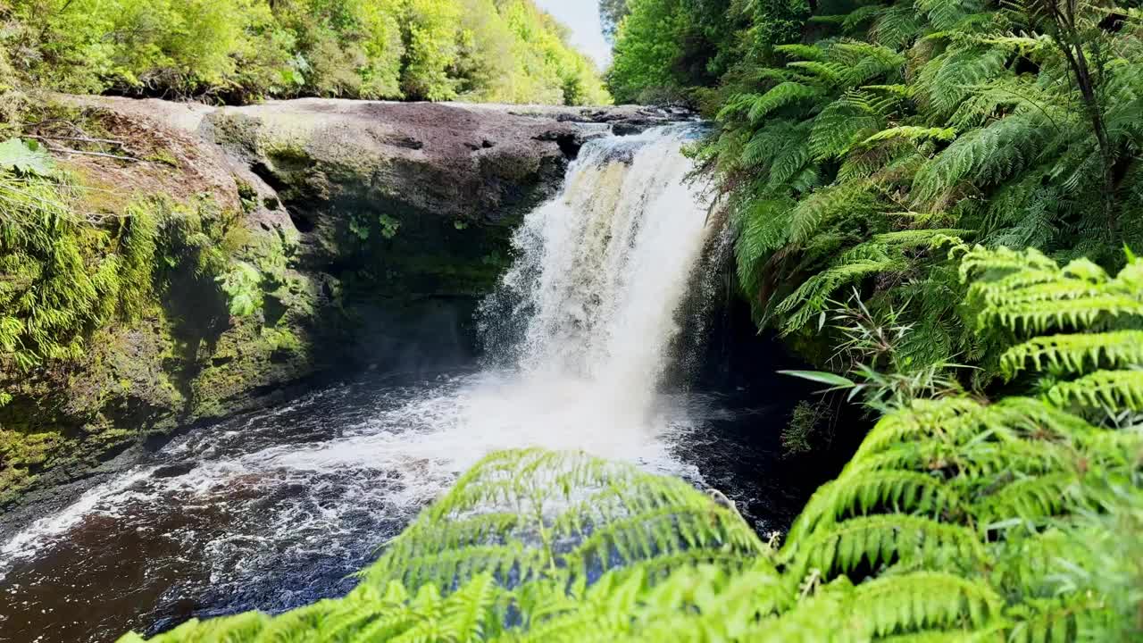 里约布拉沃瀑布全景在tepuhueico公园，森林地带，绿色植物和自然和安静的地方在智利chilo<e:1>。视频素材