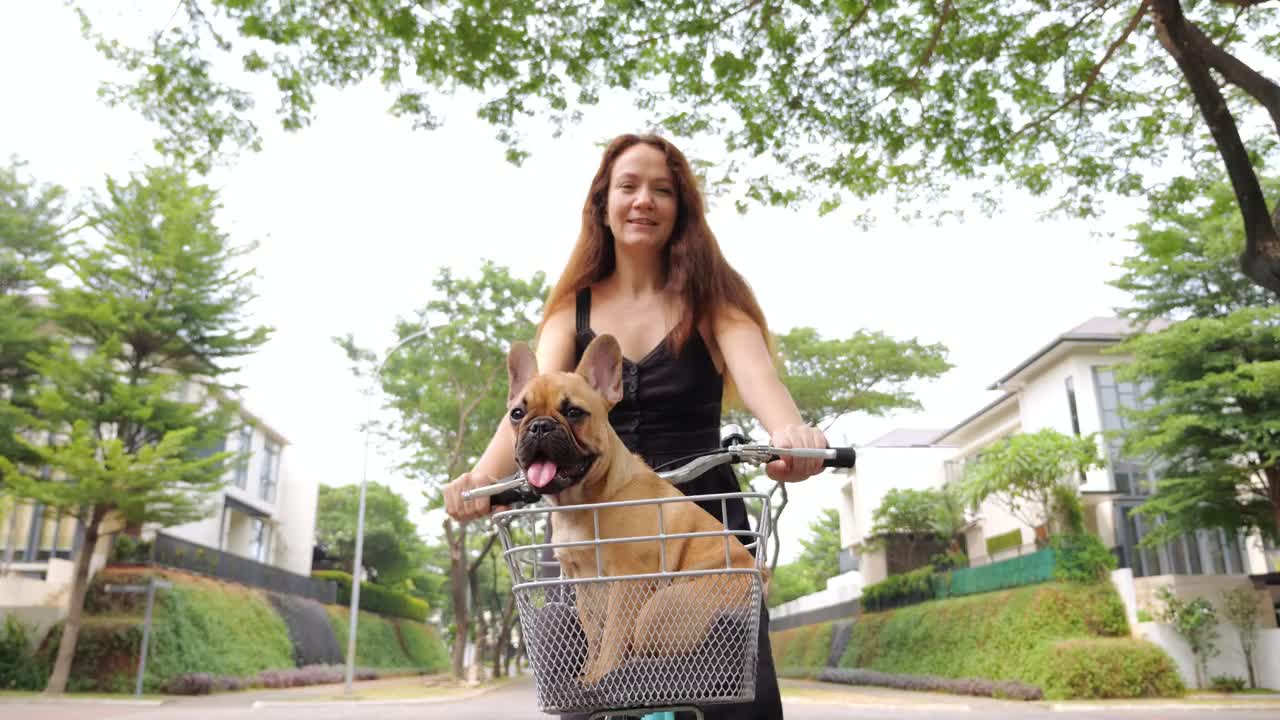 快乐的女人骑着自行车，篮子里装着小狗，镜头对准小狗视频素材