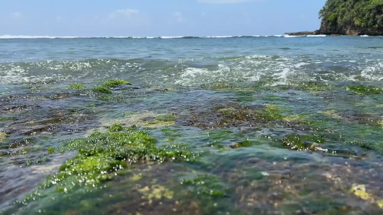 海滩和大海视频下载