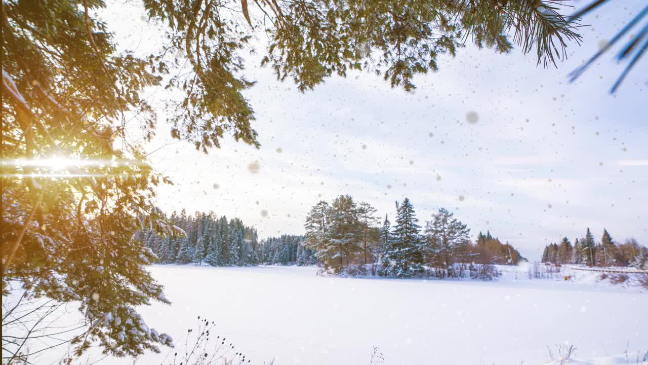 冬天的风景有美丽的降雪，电影，冬天的阳光视频素材