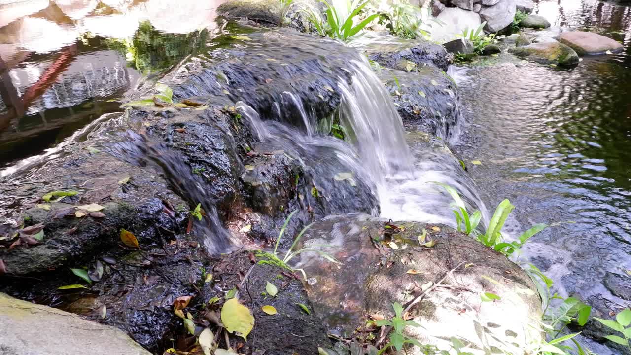 宁静花园中的宁静瀑布视频素材