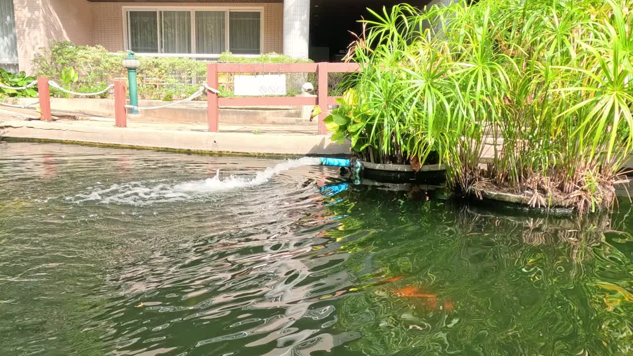 池塘波纹序列视频素材