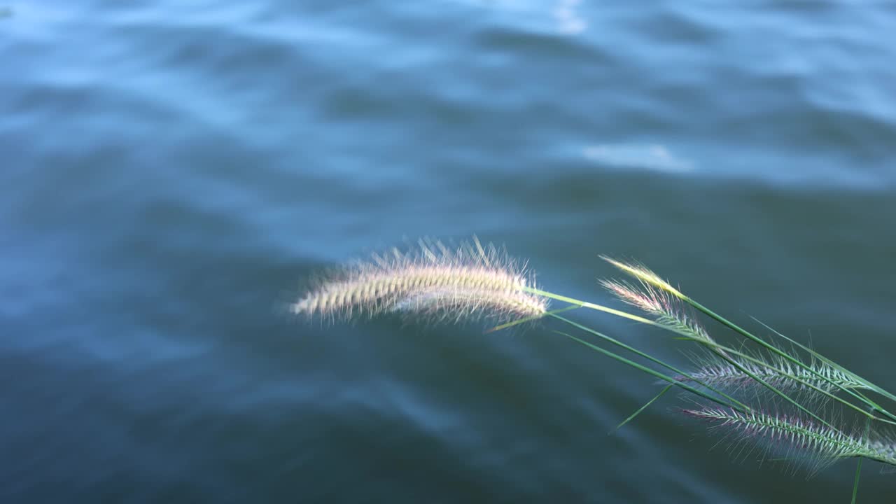 海上微风视频素材