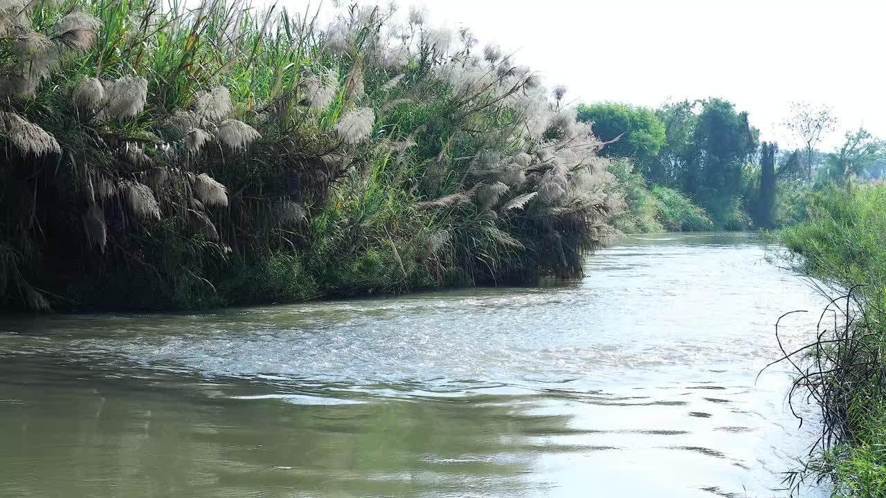 宁静的河流之旅穿越大自然视频素材