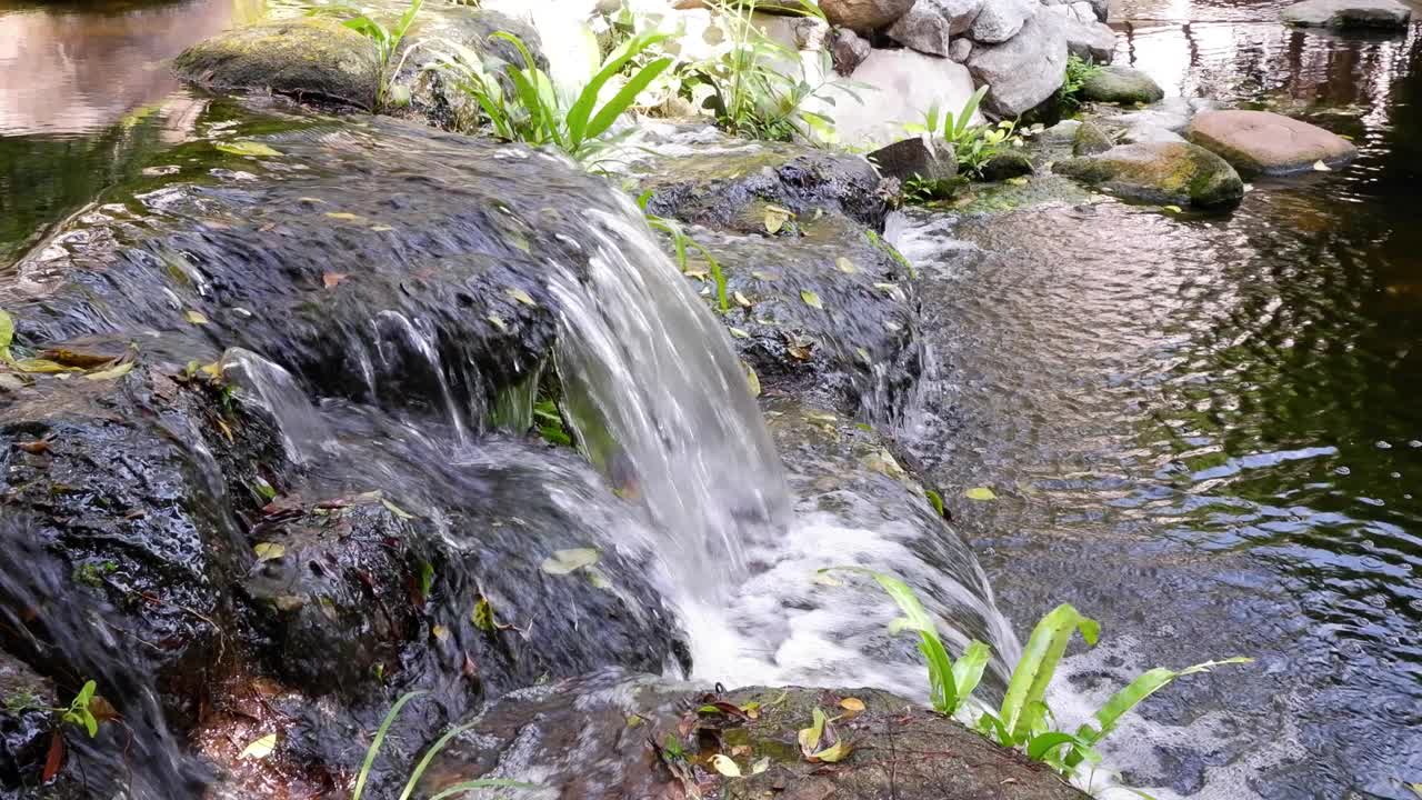 宁静花园中的宁静瀑布视频素材