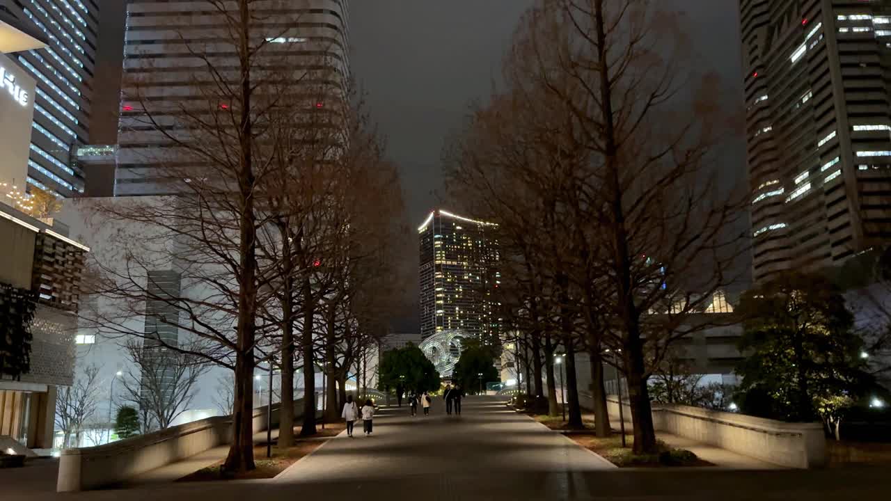 夜间人行道两旁的树木通向灯火通明的城市建筑，人们漫步视频素材