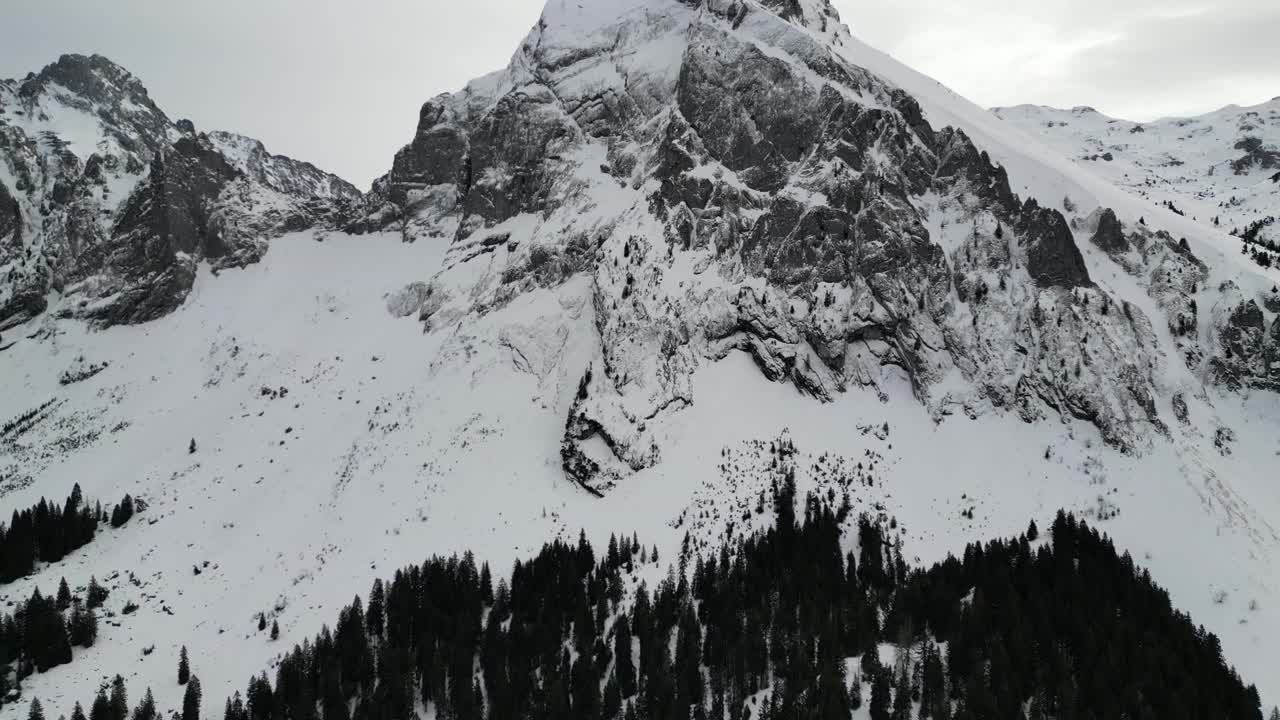 瑞士阿尔卑斯山脉中部森林上方的山景视频素材