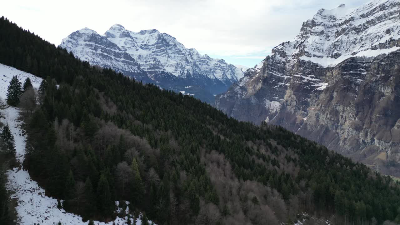 瑞士格拉鲁斯(Fronalpstock Glarus)低空俯瞰瑞士山区的常绿森林视频素材