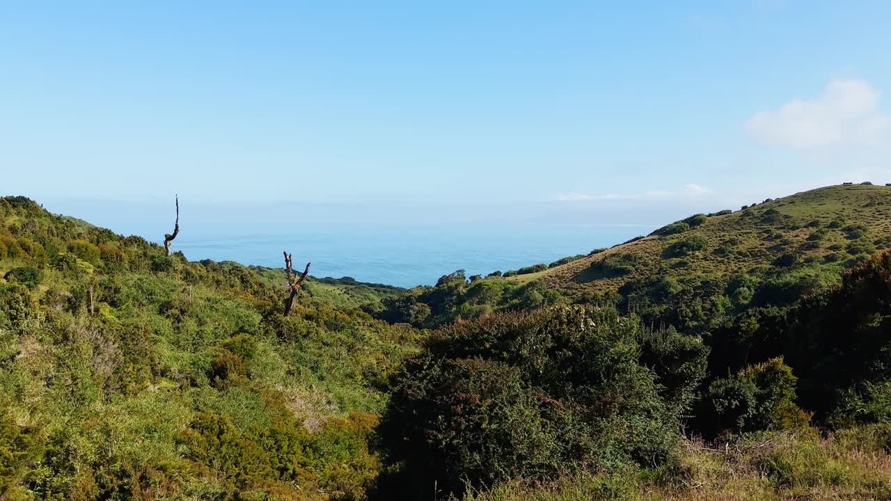 绿色灌木山景观与海洋在地平线上，Cucao智利，静态视频素材