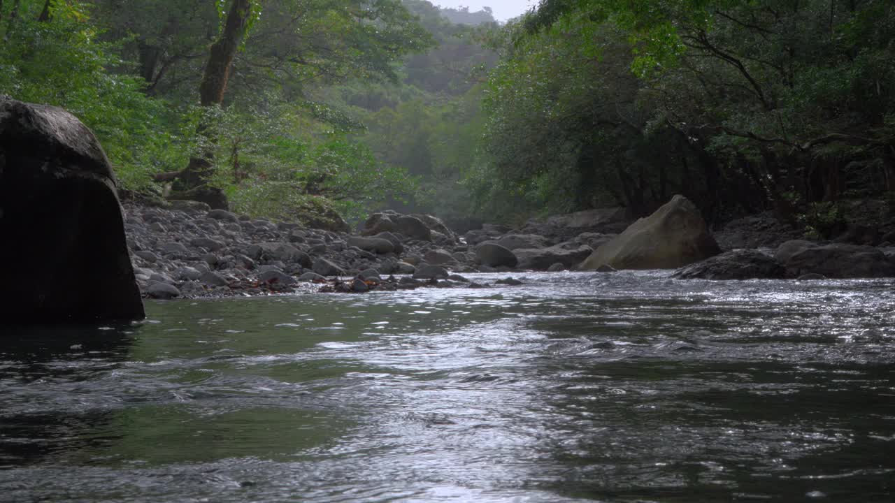 温和的河流流经卡琼斯德查梅，巴拿马，宁静的自然景观郁郁葱葱的绿色植物视频素材