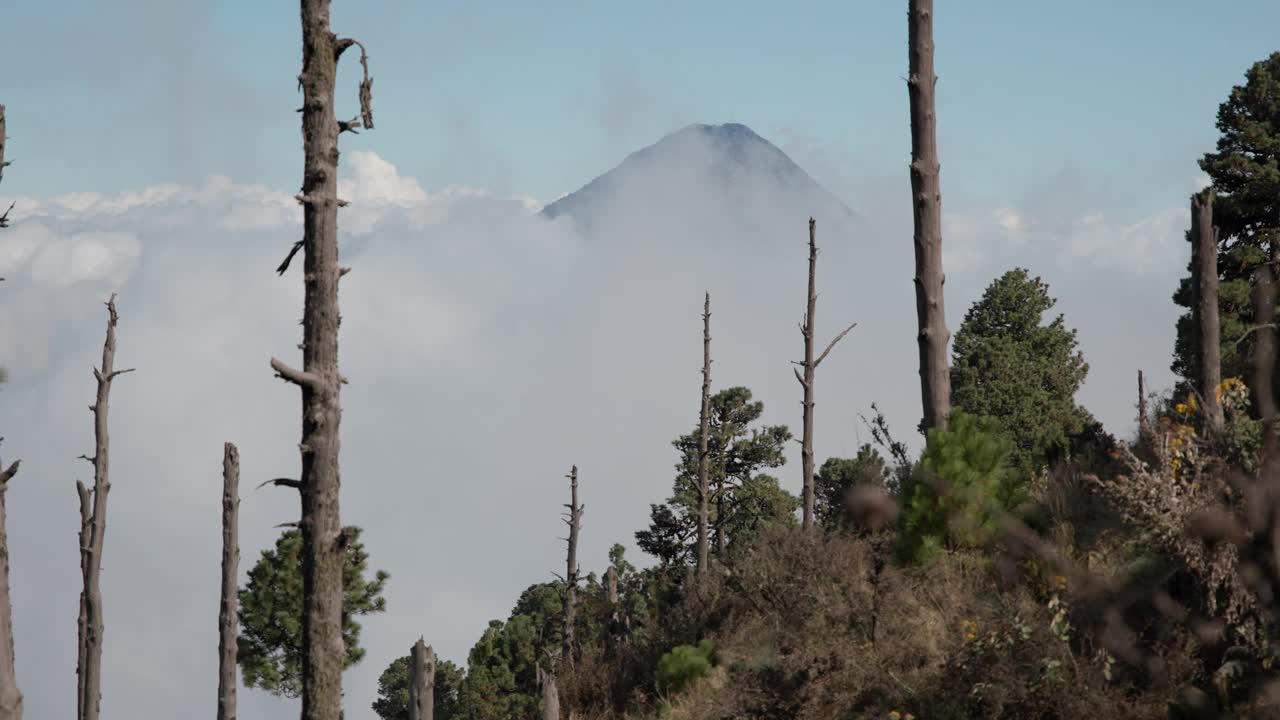 从阿卡特南戈(Acatenango)俯瞰，阿瓜火山在正午的雾霾中浮现，周围是植被和烧焦的树木视频素材