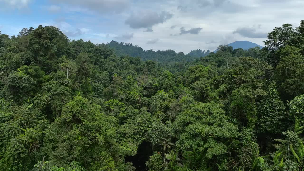 鸟瞰印尼哈马黑拉岛摩鹿加岛郁郁葱葱的雨林。视频素材