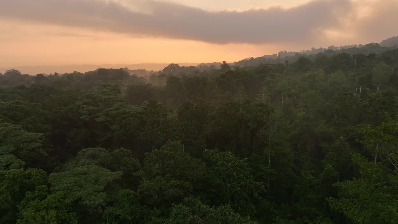 印尼哈马黑拉岛摩鹿加岛茂密森林鸟瞰图。视频素材