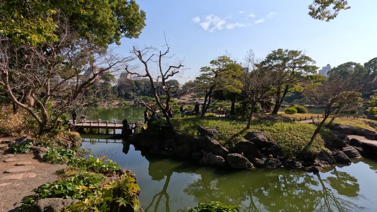 宁静的日本花园中的宁静池塘视频素材