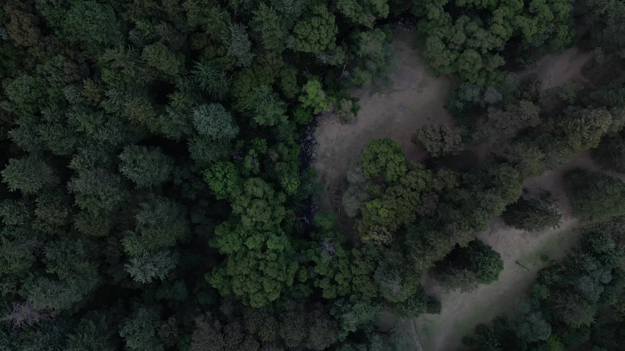 无人机在日落时拍摄的印度山上茂密的绿色树林之间的土路视频素材