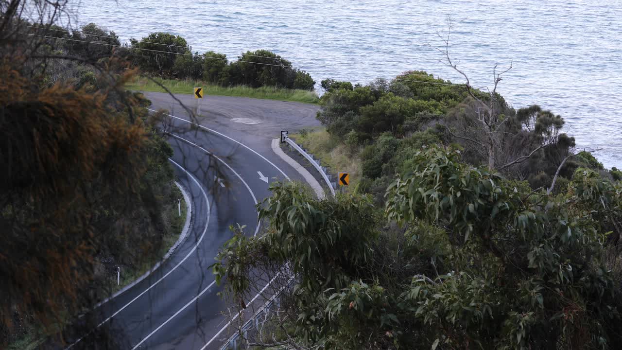 鸟瞰图:一个骑摩托车的人沿着一条被茂密的树叶包围的弯曲道路骑行，附近是大海。视频素材